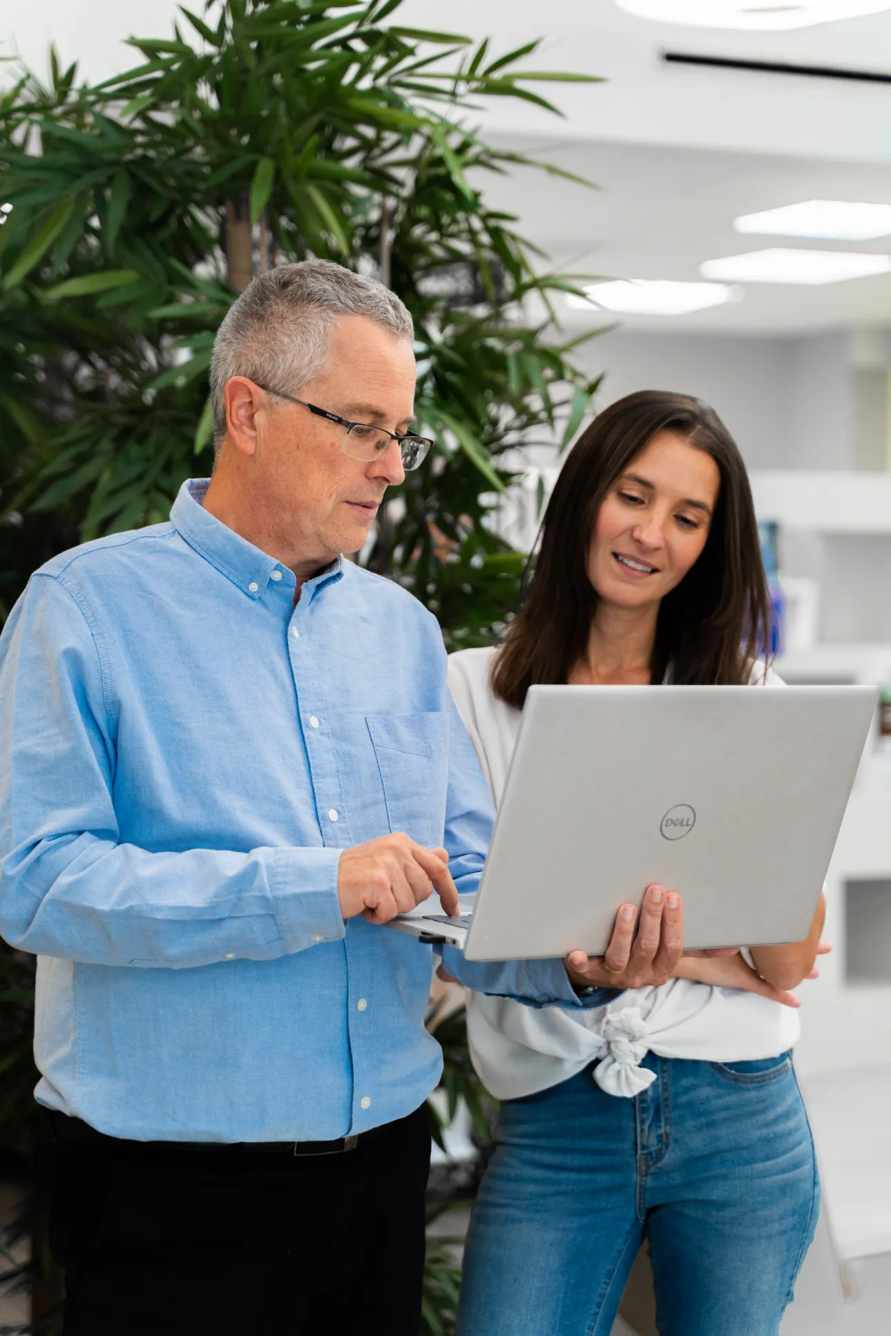 Expertise web pour les collectivités territoriales